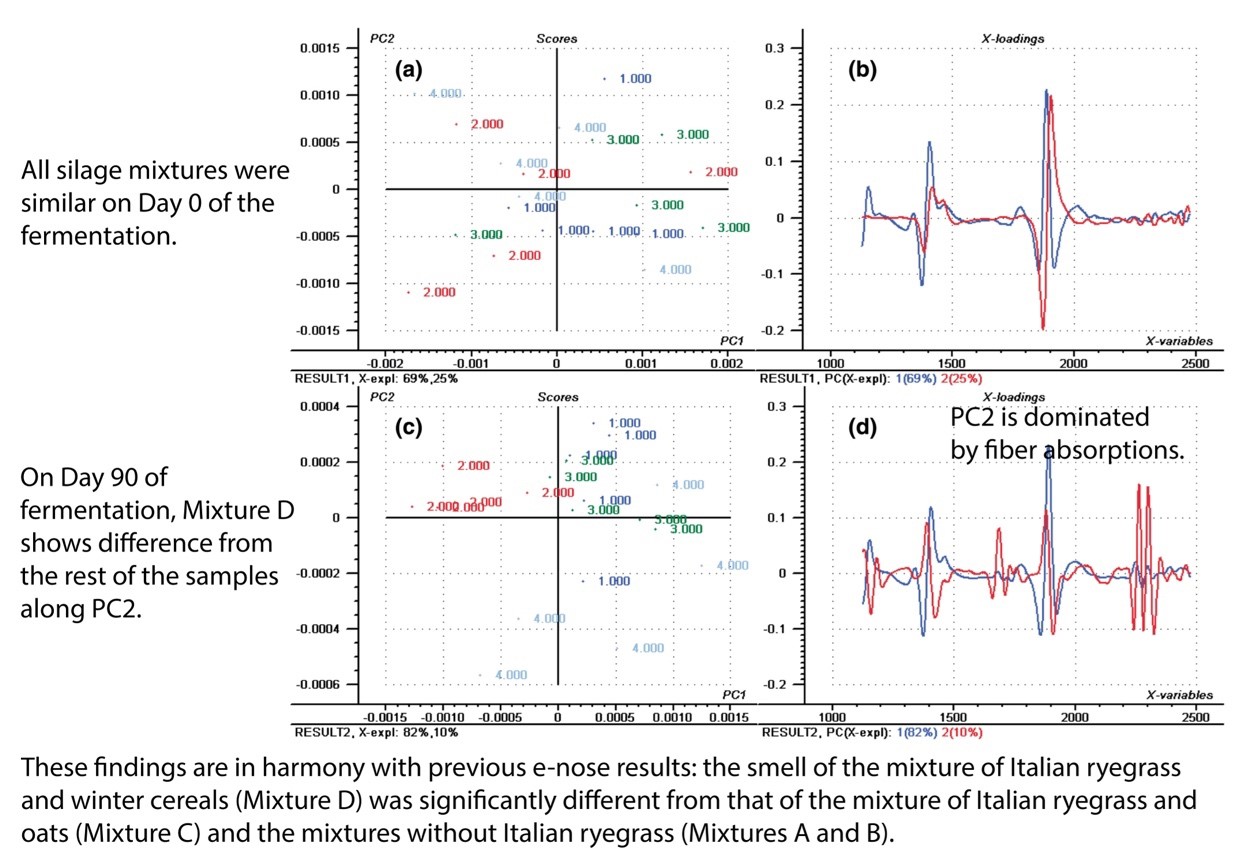 NIR spectroscopic evaluation of mixed silages